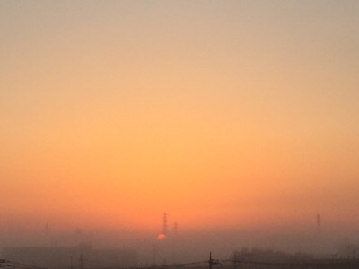 今朝の濃霧